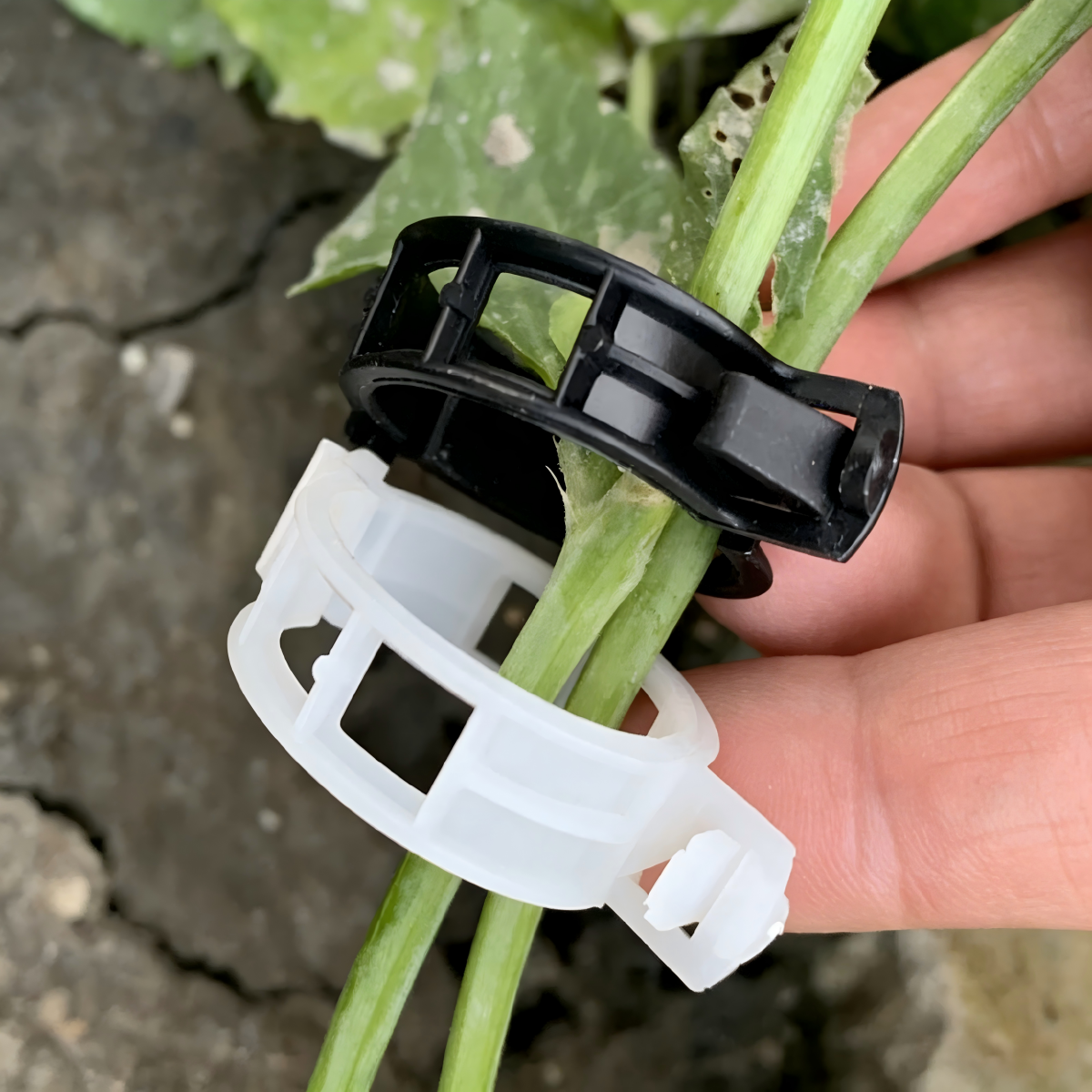 Plant Clips Supports EcoPlastic