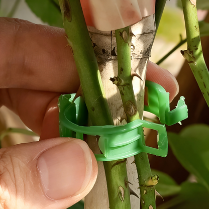 Plant Clips Supports EcoPlastic