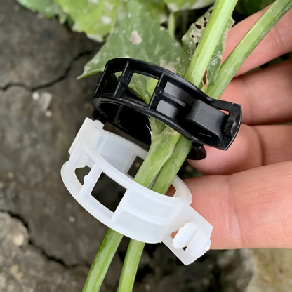 Plant Clips Supports EcoPlastic